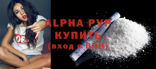 спайс Богданович
