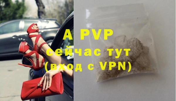 стаф Богородицк