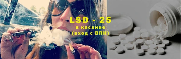 спайс Богданович