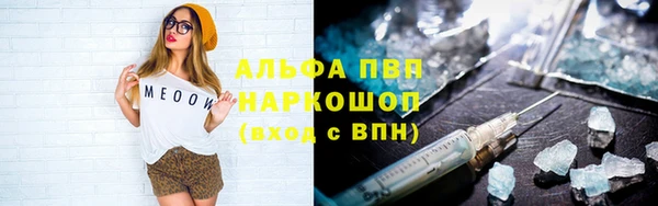спайс Богданович