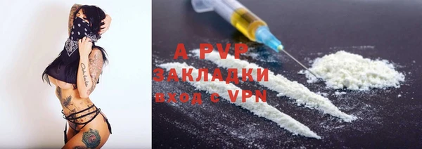 стаф Богородицк
