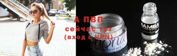 спайс Богданович
