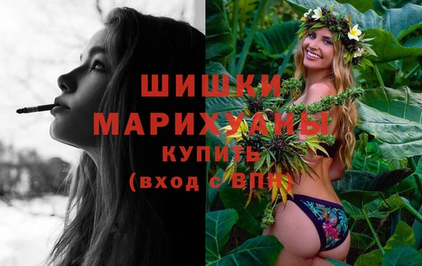 спайс Богданович
