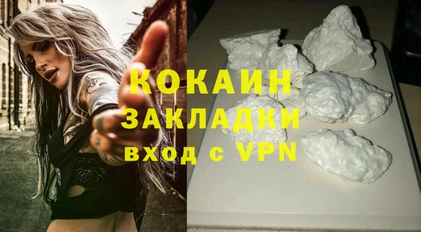 стаф Богородицк