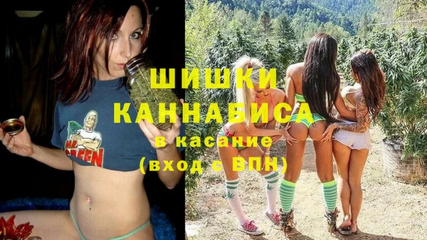 стаф Богородицк
