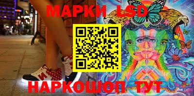крисы Гатчина
