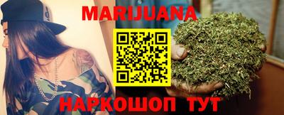 крисы Гатчина