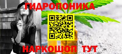 крисы Гатчина