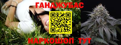 крисы Гатчина