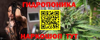 крисы Гатчина